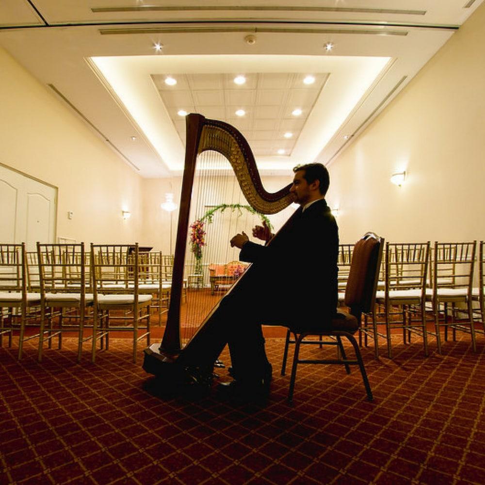 Safi Royal Luxury Valle San Pedro Garza Garcia Zewnętrze zdjęcie Harpist at a wedding