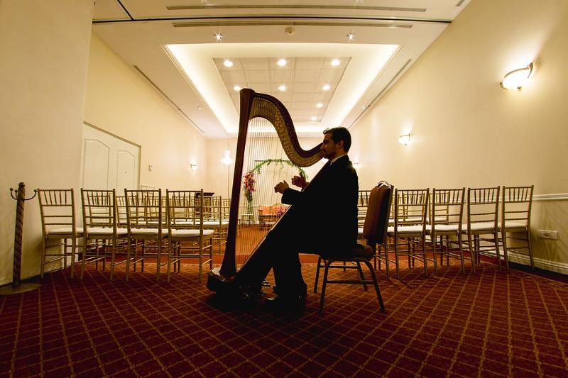 Safi Royal Luxury Valle San Pedro Garza Garcia Zewnętrze zdjęcie A harpist playing at a wedding